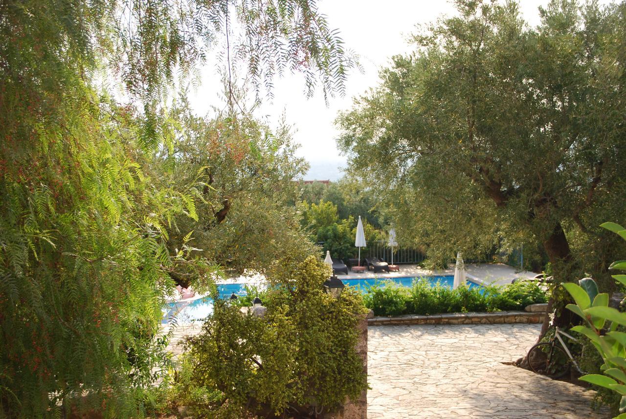 Anatoli Labreon Otel Agia Marina  Dış mekan fotoğraf
