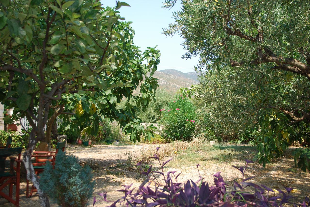 Anatoli Labreon Otel Agia Marina  Dış mekan fotoğraf