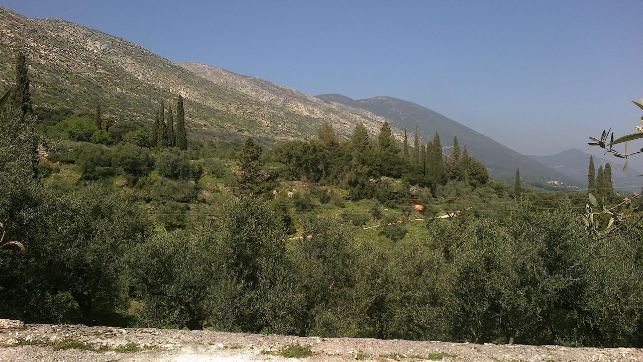 Anatoli Labreon Otel Agia Marina  Dış mekan fotoğraf